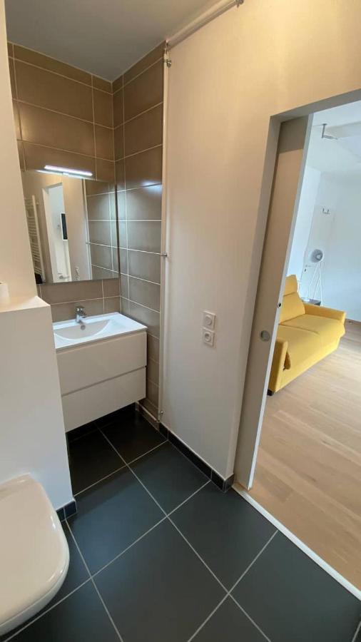 Magnifique Studio Avec Terrasse Et Garage Apartment Chens-sur-Leman ภายนอก รูปภาพ